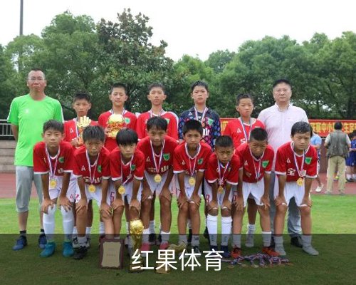 红果体育体育的故事 